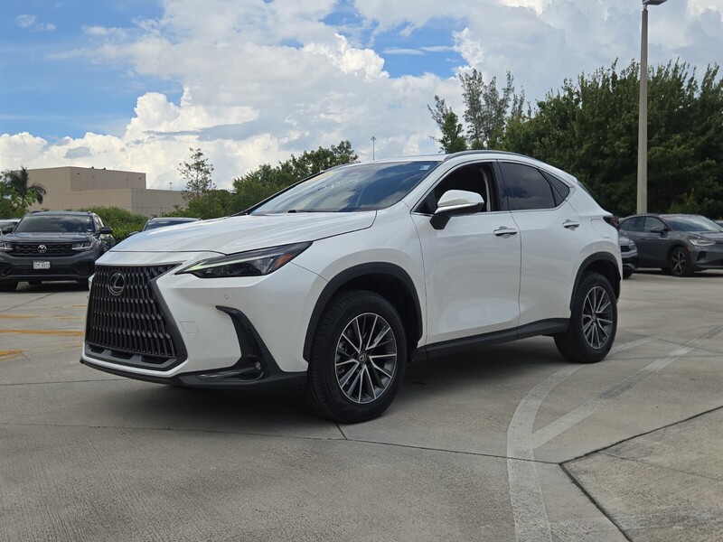 Used 2024 LEXUS NX NX 250 PREMIUM FWD in DAVIE, FLORIDA