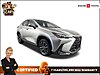 Used 2022 LEXUS NX 350 BASE in SAINT AUGUSTINE, FLORIDA