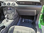 Used 2019 FORD MUSTANG ECOBOOST FASTBACK in JACKSONVILLE, FLORIDA (Photo 15)