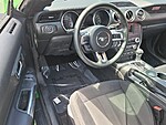 Used 2019 FORD MUSTANG ECOBOOST FASTBACK in JACKSONVILLE, FLORIDA (Photo 6)