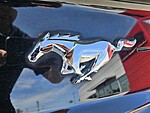 Used 2019 FORD MUSTANG ECOBOOST FASTBACK in JACKSONVILLE, FLORIDA (Photo 9)