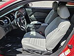 Used 2013 FORD MUSTANG V6 in JACKSONVILLE, FLORIDA (Photo 4)
