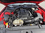 Used 2017 FORD MUSTANG ECOBOOST PREMIUM FASTBACK in JACKSONVILLE, FLORIDA (Photo 18)