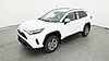 New 2025 TOYOTA RAV4 XLE in JACKSONVILLE, FLORIDA