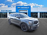 Used 2022 KIA TELLURIDE EX in ANTIOCH, ILLINOIS (Photo 10)