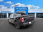 Used 2023 FORD F-150 PLATINUM in ANTIOCH, ILLINOIS (Photo 5)