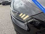 Used 2017 FORD MUSTANG V6 in JACKSONVILLE, FLORIDA (Photo 10)