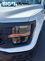 Used 2025 FORD F-150 STX in JACKSONVILLE, FLORIDA (Photo 8)