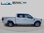 Used 2025 FORD F-150 XLT in JACKSONVILLE, FLORIDA (Photo 6)