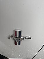 Used 2002 FORD MUSTANG V6 in JACKSONVILLE, FLORIDA (Photo 13)