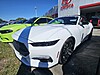 Used 2024 FORD MUSTANG ECOBOOST PREMIUM in SEBRING, FLORIDA