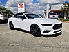 Used 2024 FORD MUSTANG ECOBOOST CONVERTIBLE in SEBRING, FLORIDA