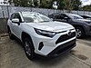 Used 2024 TOYOTA RAV4 XLE in SEBRING, FLORIDA
