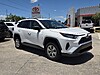 Used 2019 TOYOTA RAV4 LE FWD in SEBRING, FLORIDA