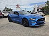 Used 2019 FORD MUSTANG GT FASTBACK in SEBRING, FLORIDA