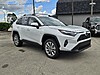 New 2025 TOYOTA RAV4 XLE PREMIUM FWD in SEBRING, FLORIDA
