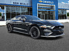 Used 2019 FORD MUSTANG GT FASTBACK in CLERMONT, FLORIDA