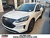 Used 2022 FORD ESCAPE SE in HENDERSON, NEVADA