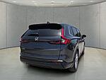 Used 2025 Honda CR-V EX-L 2WD in FORT PIERCE, FLORIDA (Photo 5)