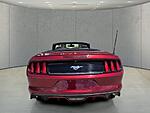 Used 2016 FORD MUSTANG 2DR CONV ECOBOOST PREMIUM in FORT PIERCE, FLORIDA (Photo 6)