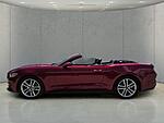 Used 2016 FORD MUSTANG 2DR CONV ECOBOOST PREMIUM in FORT PIERCE, FLORIDA (Photo 9)