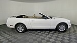 Used 2008 FORD MUSTANG 2DR CONV DELUXE in WEST PALM BEACH, FLORIDA (Photo 4)