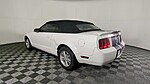 Used 2008 FORD MUSTANG 2DR CONV DELUXE in WEST PALM BEACH, FLORIDA (Photo 8)
