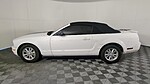 Used 2008 FORD MUSTANG 2DR CONV DELUXE in WEST PALM BEACH, FLORIDA (Photo 9)