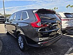 Used 2024 Honda CR-V EX-L in WEST PALM BEACH, FLORIDA (Photo 3)