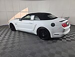 Used 2016 FORD MUSTANG 2DR CONV GT PREMIUM in WEST PALM BEACH, FLORIDA (Photo 7)