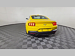 Used 2024 FORD MUSTANG ECOBOOST FASTBACK in WEST PALM BEACH, FLORIDA (Photo 43)