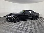 Used 2017 FORD MUSTANG ECOBOOST PREMIUM CONVERTIBLE in WEST PALM BEACH, FLORIDA (Photo 8)