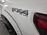 Used 2025 FORD F-150 XLT 4WD SUPERCREW 5.5' BOX in NORTH PALM BEACH, FLORIDA (Photo 15)