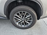 Used 2026 LEXUS NX 350 PREMIUM in JUPITER, FLORIDA (Photo 17)