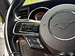 Used 2019 FORD MUSTANG GT in BENTONVILLE, ARKANSAS (Photo 19)