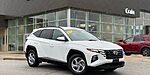 Used 2024 HYUNDAI TUCSON SEL in FAYETTEVILLE , ARKANSAS