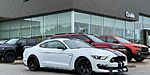 Used 2019 FORD MUSTANG SHELBY GT350 in FAYETTEVILLE , ARKANSAS