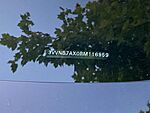 Used 2024 Volkswagen Tiguan 2.0T SE in FAYETTEVILLE, ARKANSAS (Photo 6)