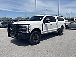 Used 2024 FORD F-250 PLATINUM in SPRINGDALE, ARKANSAS (Photo 7)