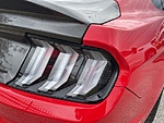 Used 2015 FORD MUSTANG GT PREMIUM in SPRINGDALE, ARKANSAS (Photo 8)