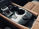 Used 2024 NISSAN ROGUE PLATINUM in SPRINGDALE, ARKANSAS (Photo 18)