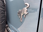 Used 2023 FORD BRONCO BASE in SPRINGDALE, ARKANSAS (Photo 12)