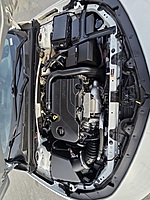 Used 2022 CHEVROLET MALIBU RS in SPRINGDALE, ARKANSAS (Photo 29)