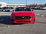 Used 2025 FORD MUSTANG ECOBOOST in SPRINGDALE, ARKANSAS (Photo 2)