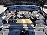 Used 2019 FORD F-150 XL in SPRINGDALE, ARKANSAS (Photo 30)