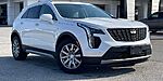 Used 2020 CADILLAC XT4 PREMIUM LUXURY in SPRINGDALE, ARKANSAS