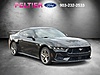 Used 2024 FORD MUSTANG GT PREMIUM FASTBACK in LONGVIEW, TEXAS