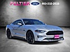 Used 2018 FORD MUSTANG GT FASTBACK in LONGVIEW, TEXAS