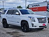 Used 2019 CADILLAC ESCALADE 2WD 4DR PREMIUM LUXURY in LONGVIEW, TEXAS