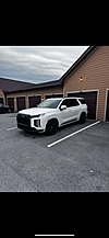 Used 2024 HYUNDAI PALISADE CALLIGRAPHY NIGHT EDITION in BOWLING GREEN, KENTUCKY